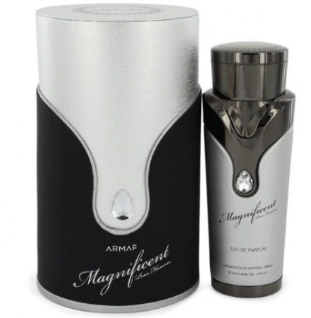 Magnificent Pour Homme
